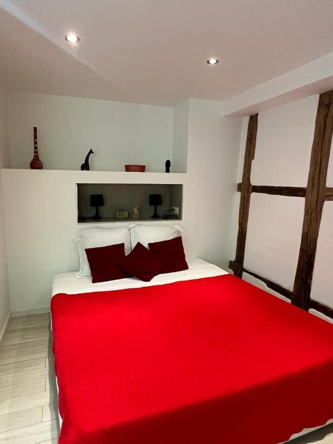 La Mariana - Old Town Cosy Apartments Colmar Bagian luar foto